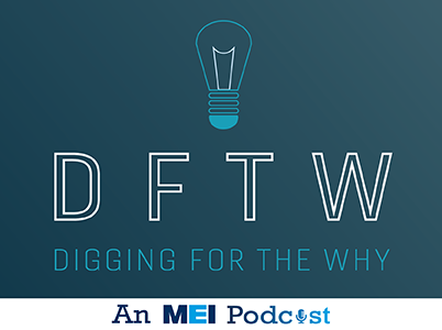 Digging for the Why logo